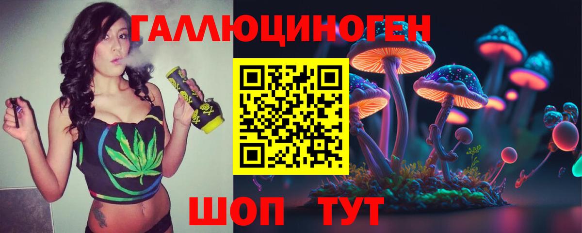 Галлюциногенные грибы Psilocybe Ивантеевка
